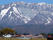 �t�̑�R���